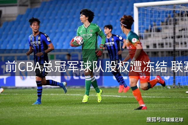 前CBA总冠军球队股权遭冻结 联赛两极分化引忧