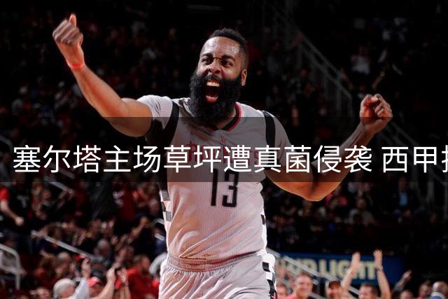 塞尔塔主场草坪遭真菌侵袭 西甲揭幕战或延期