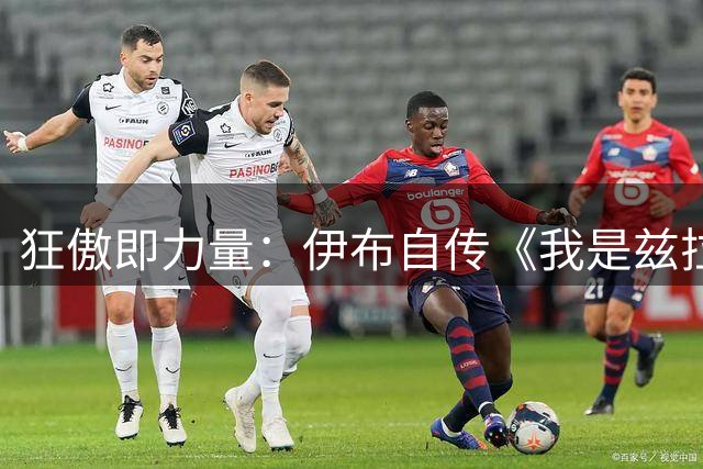 狂傲即力量：伊布自传《我是兹拉坦》中的不羁人生