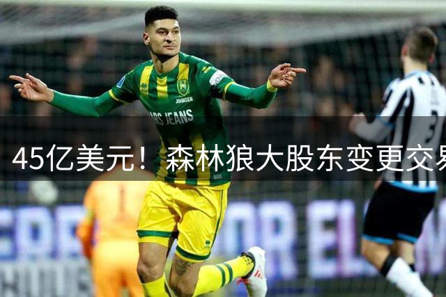 45亿美元！森林狼大股东变更交易完成
